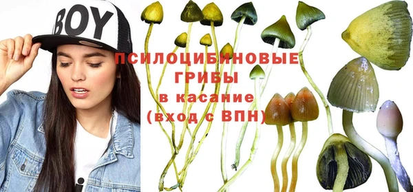 mix Абаза