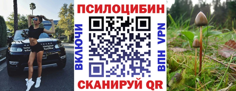 Галлюциногенные грибы Psilocybe Татарск