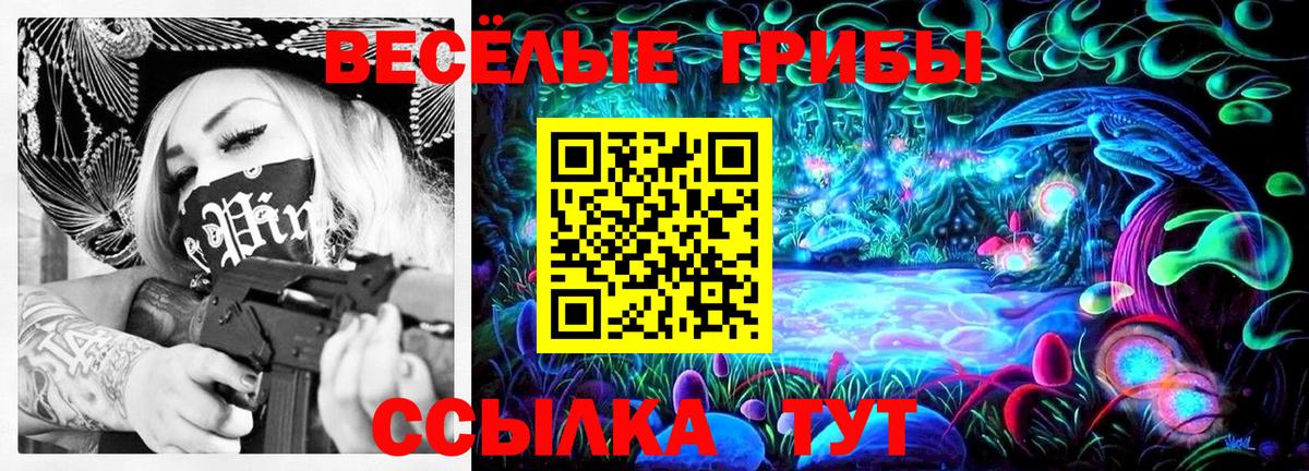Псилоцибиновые грибы MAGIC MUSHROOMS  Галлюциногенные грибы Psilocybe  Вход с VPN  Татарск 