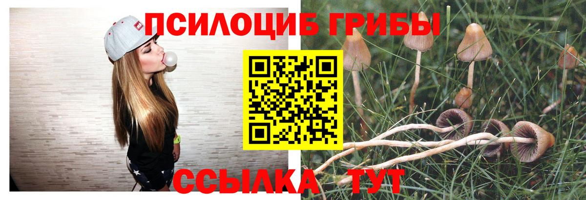 Псилоцибиновые грибы прущие грибы Татарск